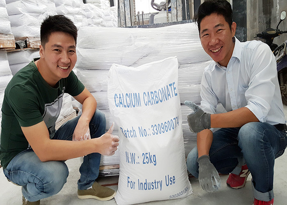 Herbeigeführtes Calciumcarbonat für Papier, helles Calciumcarbonat CAS Nr. 471-34-1